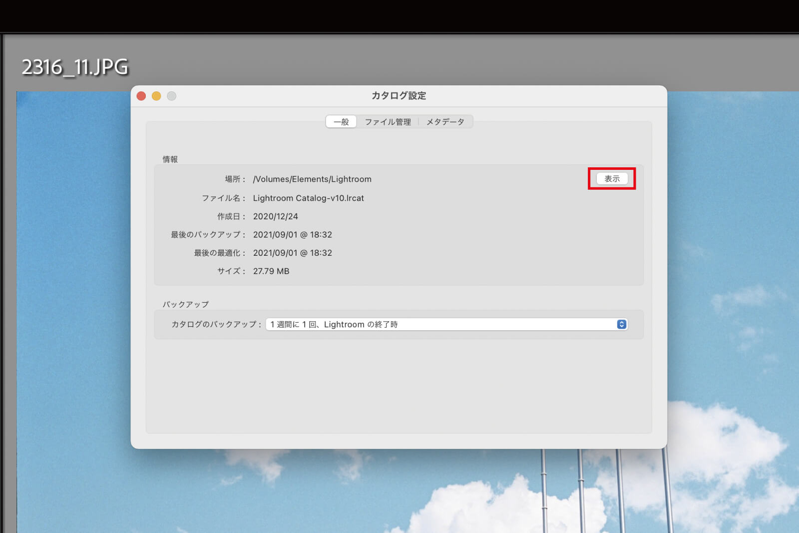 「表示」をクリックすると、カタログのあるフォルダが表示される