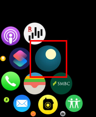 Apple WatchのAutoSleepをタップ